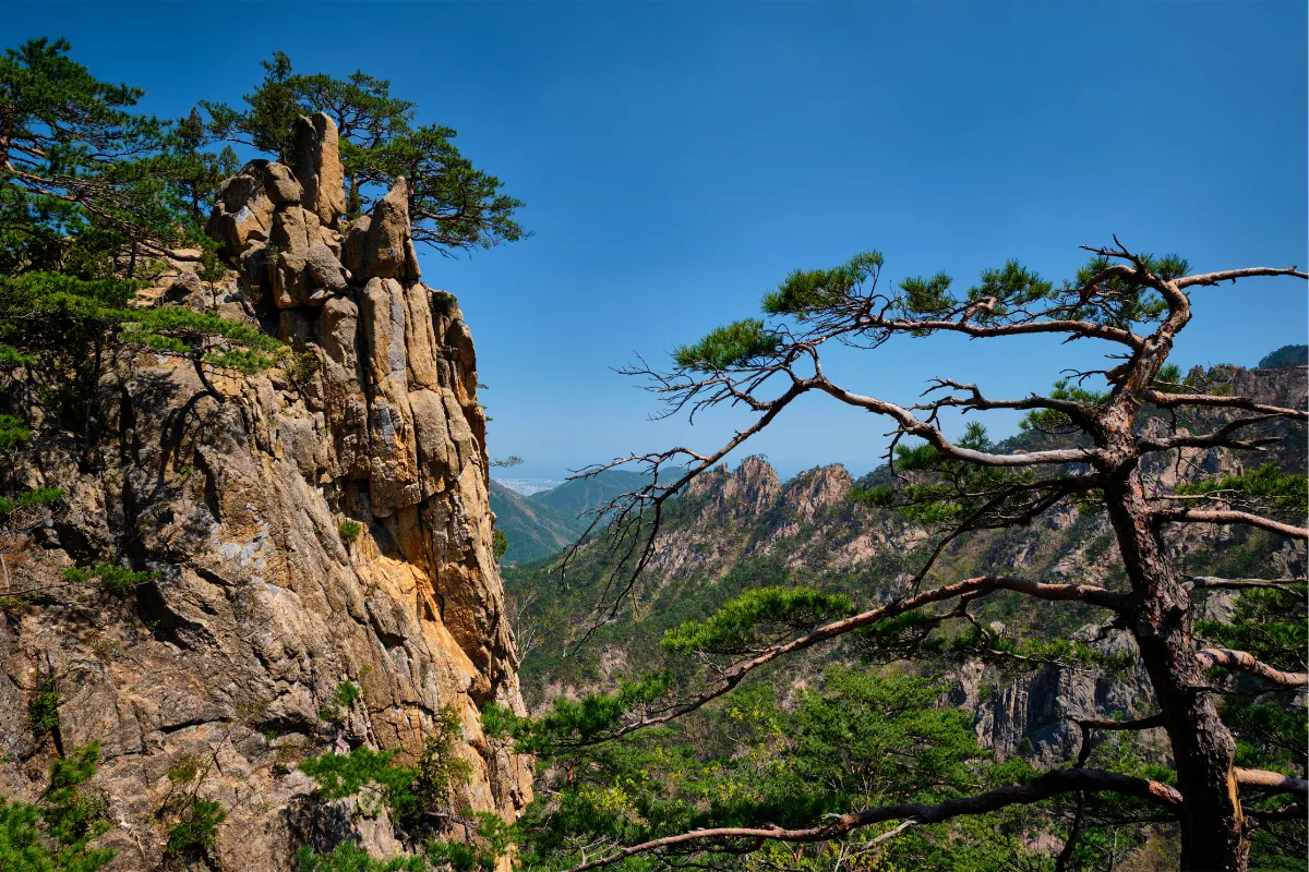 Seoraksan National Park